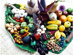 農(nóng)產(chǎn)品溯源系統(tǒng)具有哪些優(yōu)勢？